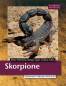 Preview: Skorpione